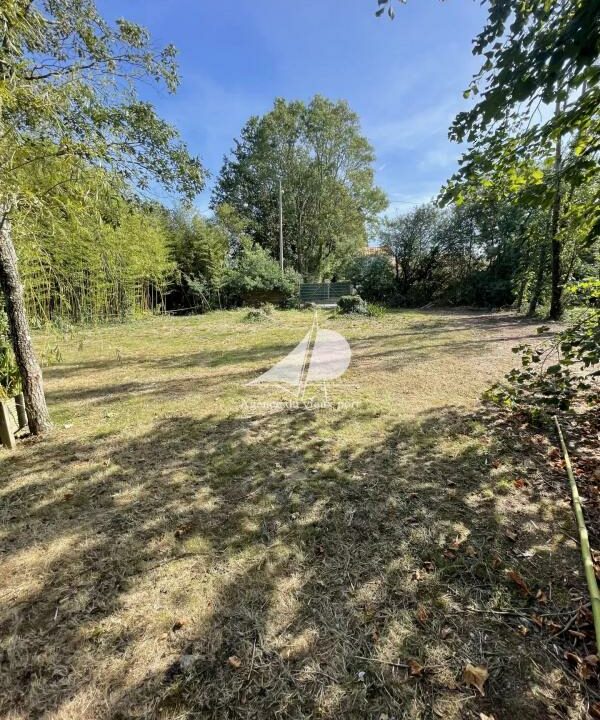 83343115-20112025-151114-1