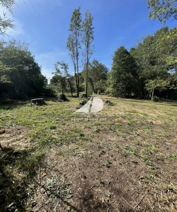 83343115-20112025-151114-3