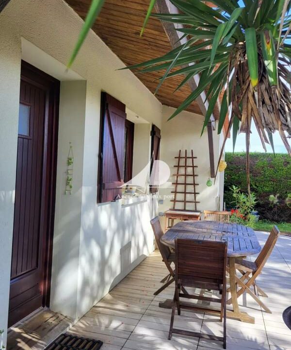 84529044-16122025-172053-1