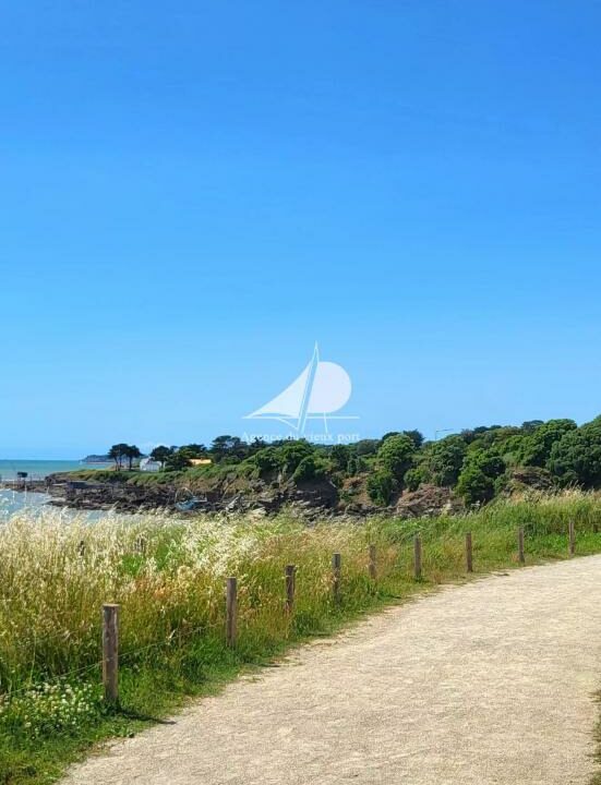 85717125-16122025-172054-9