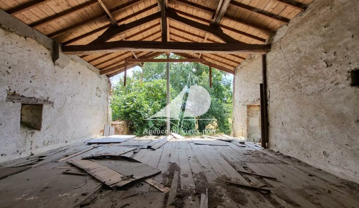 86155646-16122025-172048-4