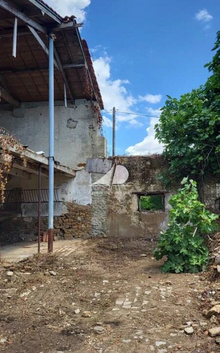 86155646-16122025-172048-6