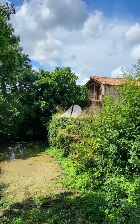 86155646-16122025-172048-8