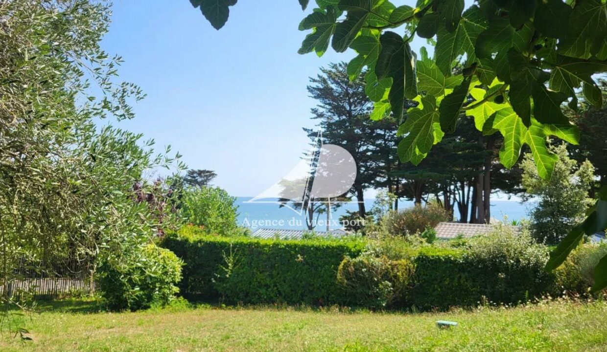 86156412-16122025-172055-1