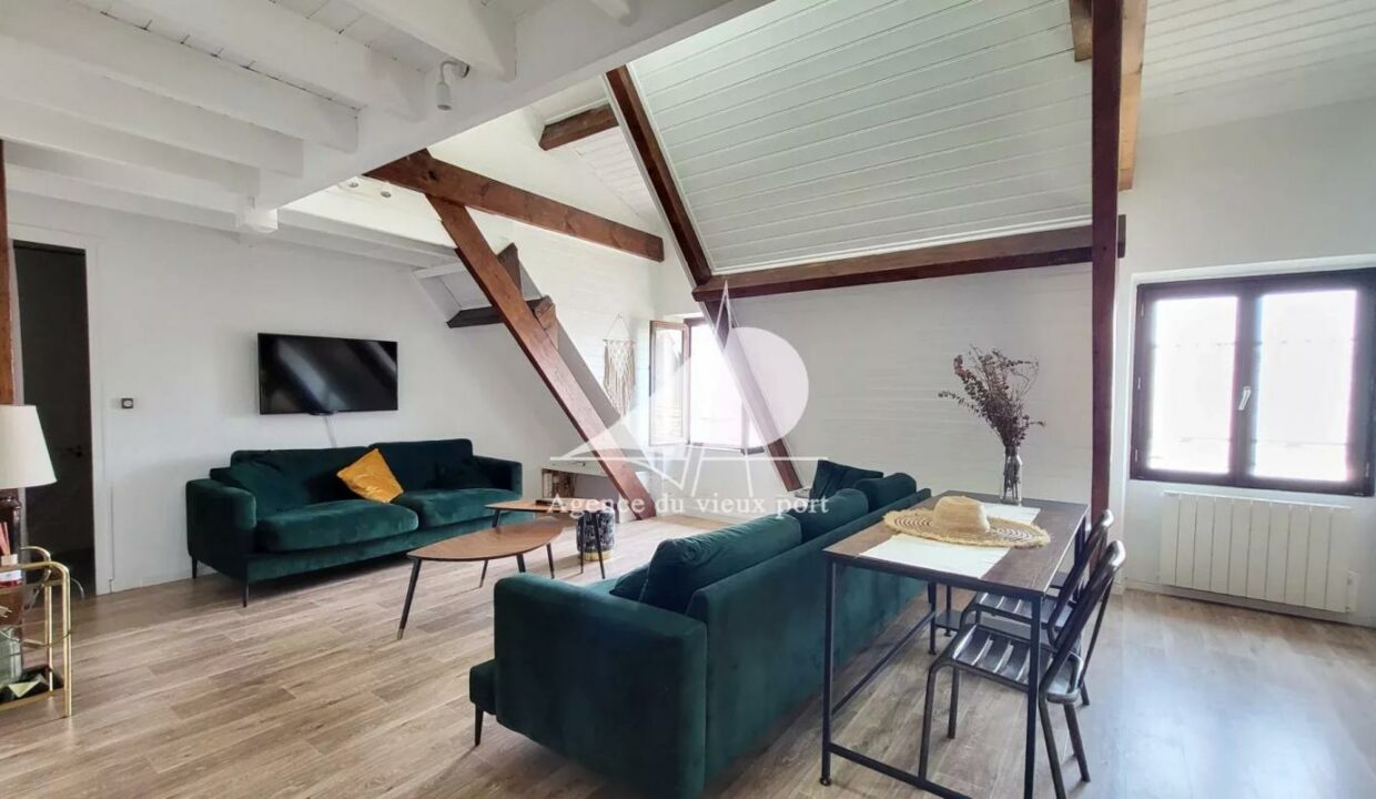 86166204-16122025-172052