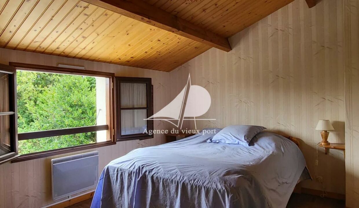 86229167-16122025-172052-5