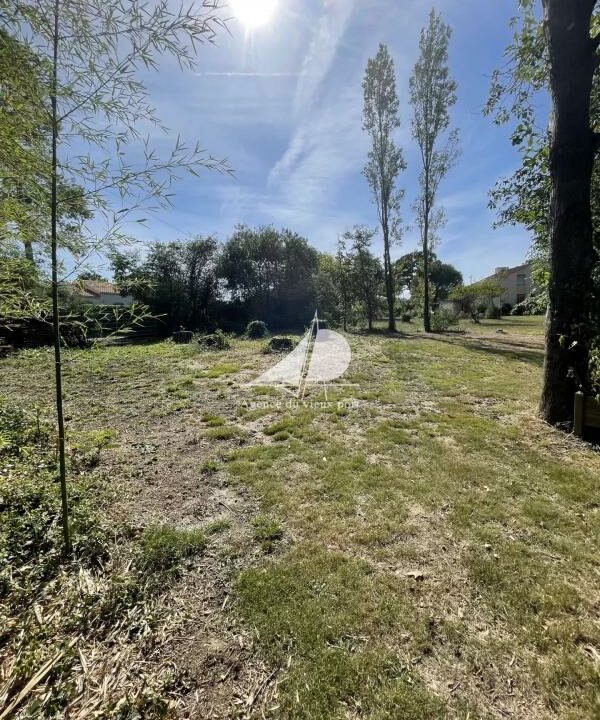 83343115-15012026-160952