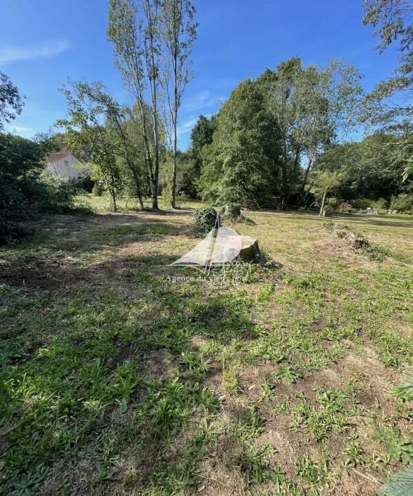 83343115-28012026-145541-2