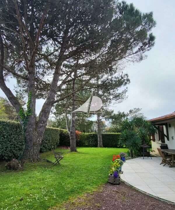 84529044-28012026-145545-8