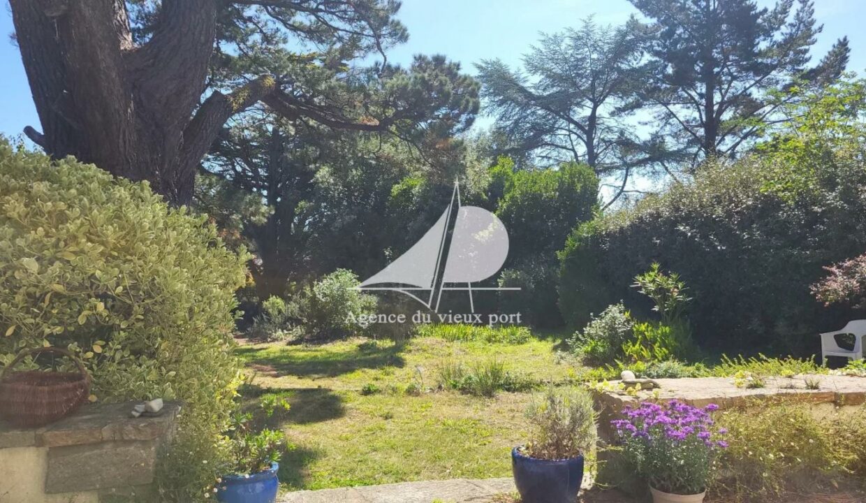 86207395-28012026-145555