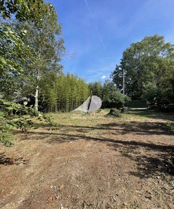 83343115-03022026-195655-4