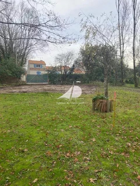 83343115-03022026-195655-5