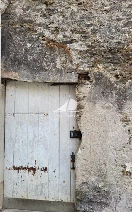 86118517-18032026-202151-7