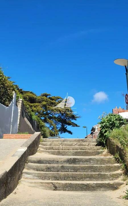 86905275-23042026-115405-11