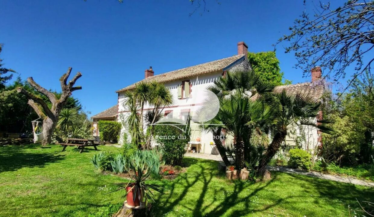 86905558-23042026-130741-1