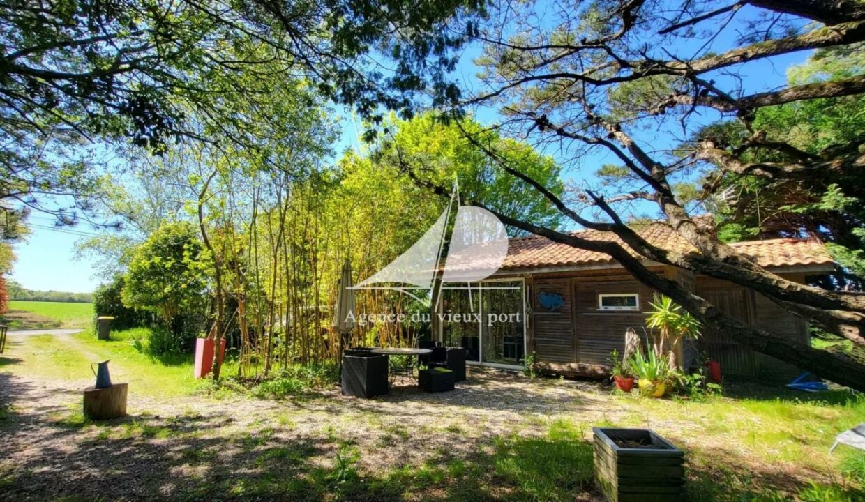 86905558-23042026-130741-6